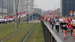 Zawodnicy na trasie 33. Biegu Niepodległości w Warszawie. Fot. PAP/Sz. Pulcyn