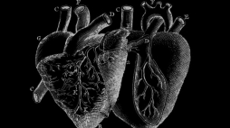 Wystawa „Dziady – Upiór” w Bibliotece Narodowej