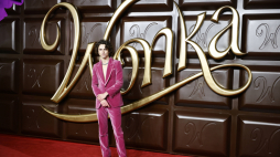 Timothée Chalamet. Fot. PAP/EPA