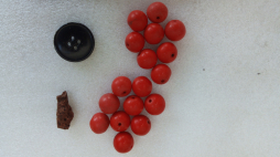 Na wniosek Piotra Książka, wnuka zamordowanego Piotra Książka, Oddziałowe Biuro Upamiętniania Walk i Męczeństwa IPN w Krakowie przeprowadziło 24 maja 2022 r. ekshumację szczątków czterech osób z rodziny Książków. Natrafiono przy tym na czerwone korale jednej z ofiar, prawdopodobnie Julii. Źródło: IPN