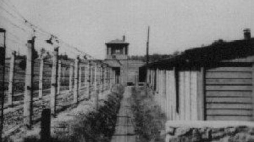 Obóz w Świętochłowicach. Źródło: IPN