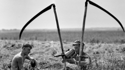 Państwowe Przedsiębiorstwo Gospodarki Rolnej Wizna – Grądy-Woniecko w czasie sianokosów latem 1966 r. Fot. PAP/J. Morek