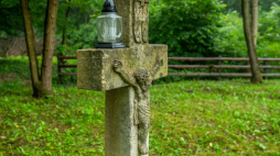Fot. PAP/Wojtek Jargiło