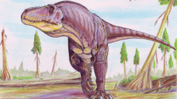 Tarbosaurus. Źródło: Wikipedia