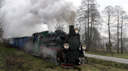 Ciuchcia "Ponidzie" w okolicach Hajdaszka (świętokrzyskie). 2004 r. Fot. PAP/P. Polak