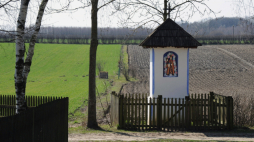 Kapliczka przydrożna z Umienina z drewnianą figurą Matki Boskiej Łąkowskiej. PAP/Afa Pixx/Zenon Żyburtowicz