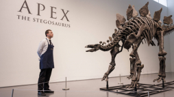 „Apex”, wystawiony w domu aukcyjnym Sotheby's w Nowym Jorku. PAP/EPA/Sarah Yenesel