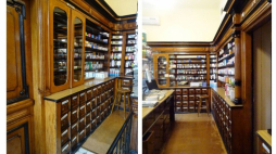 Fot. K. Lipke-Żurek, WUOZ w Warszawie