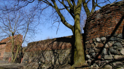 Fragment murów miejskich wraz z pozostałościami baszty w Nowym Mieście Lubawskim. Fot. Wikipedia.
