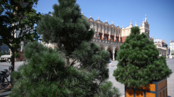 Rynek Główny w Krakowie, fot. PAP/Ł. Gągulski