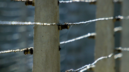 Auschwitz I. Fot. PAP/Jerzy Ochoński