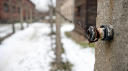 KL Auschwitz-Birkenau. PAP/Łukasz Gągulski
