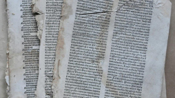 Herolt, Johann : Sermones Discipuli de tempore et de sanctis cum Promptuaria exemplorum et de Beata Virgine. Basel : Johann Amerbach, 1482 – fragmenty zidentyfikowanego inkunabułu – stan przed konserwacją. Źródło: facebook, Książnica Cieszyńska