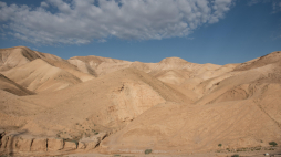 Pustynia Judzka Fot. PAP/Wojtek Jargiło