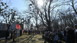 Pomnik Polonii Gdańskiej, fot. PAP/Adam Warżawa
