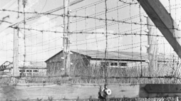 Były obóz koncentracyjny KL Stutthof. Nz. ogrodzenie obozu koncentracyjnego, w tle baraki obozowe, maj 1946 r. PAP/Mikołaj Sprudin 