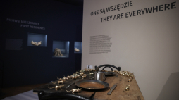 Wystawa „Miasto zwierząt” jest dostępna dla publiczności od 30 maja do 26 października. Fot. PAP/Łukasz Gągulski