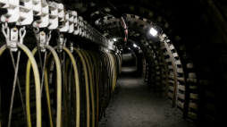 Zabytkowa kopalnia Guido w Zabrzu Kopalnia Guido (kiedyś Zabytkowa Kopalnia Węgla Kamiennego Guido) to nieczynna kopalnia węgla kamiennego, udostępniona do zwiedzania. Wchodzi w skład Muzeum Górnictwa Węglowego w Zabrzu jako Kompleks Kopalnia Guido. Kompleks to dwie sąsiadujące ze sobą lokalizacje w Zabrzu. PAP/Zbigniew Meissner