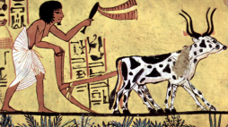 Starożytny Egipt - rolnictwo. Fot. Painter of the burial chamber of Sennedjem, Public domain, via Wikimedia Commons