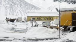 Polska Stacja Antarktyczna imienia Henryka Arctowskiego, 2010 r. Fot. PAP/Tomasz Janecki