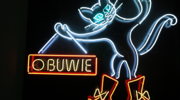 Muzeum Neonów przeniosło się z Kamionka do centrum Warszawy. Fot. PAP/Paweł Supernak