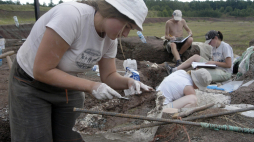 Obóz archeologiczny studentów Uniwersytetu Opolskiego w nieczynnej kopalni iłów w Krasiejowie. Rok 2005. Katarzyna Lech pracuje przy zabezpieczonej gipsem czaszce metopozaura sprzed 230 milionów lat. Fot. PAP/Krzysztof Świderski 