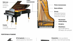 Autor: PAP/Mateusz Krymski 