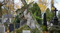 Stare Powązki w Warszawie. Fot. PAP/Darek Delmanowicz