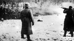 Policja niemiecka rozstrzeliwuje Polaków, 1941 r./NAC