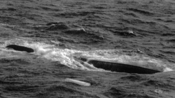 Na morzu bałtyckim zatonął polski prom „Jan Heweliusz”. Zginęło 54 osoby, 9 uratowano. N/z: wrak promu. PAP/CAF-EPA