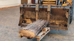 Fot. Muzeum Okręgowe w Koninie