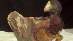  Mumia „Damy z Ampato”. Fot. Johan Reinhard 