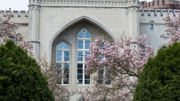 Arboretum w Kórniku (z kwitnącymi w kwietniu magnoliami). Fot. PAP/Marek Zakrzewski