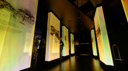 Brama Poznania - Interaktywne Centrum Historii Ostrowa Tumskiego, 2014 r. Fot. PAP/Jakub Kaczmarczyk