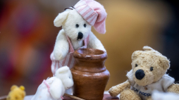 Misie z kolekcji Emilii Andrysiak pokazywanej w 2022 r. w Bydgoszczy na wystawie z okazji Światowego Dnia Pluszowego Misia. Fot. PAP/Tytus Żmijewski 