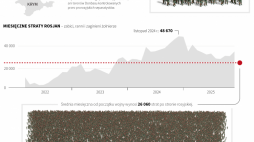 Rosyjskie straty podczas wojny w Ukrainie. Infografika PAP/Mateusz Krymski