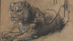 „Odpoczywający młody lew" Rembrandta. Fot. theleidencollection.com