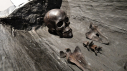 Szkielet kobiety odnaleziony w Bagiczu. Fot. PAP/Marcin Bielecki