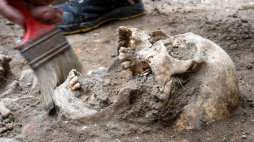 Prace ekshumacyjne na XIII-wiecznym przykościelnym cmentarzu w kompleksie Ducha Świętego w Toruniu w 2025 r. Fot. PAP/Tytus Żmijewski