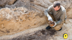 Prace poszukiwawcze we wsi Ugły. Fot. PAP/Vladyslav Musiienko