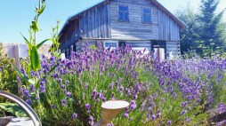 Skansen Osadnictwa Nadwiślańskiego w Wiączeminie Polskim. Fot. Facebook/Skansen Osadnictwa Nadwiślańskiego w Wiączeminie Polskim