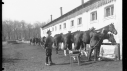 Prima Aprilis w 1 Pułku Szwoleżerów, 1931 r. /NAC
