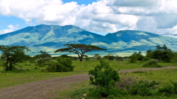 Park Narodowy Serengeti w Tanzanii. Fot. Wikipedia/William Warby