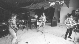 Festiwal w Jarocinie, rok 1988. Fot. Zbigniew Staszyszyn/PAP