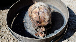 Szczątki znalezione podczas czasie prac archeologicznych nad jeziorem Borówno. Fot. IPN
