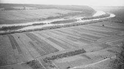 Dobrowlany w województwie tarnopolskim, 1938 r./NAC