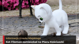 Źródło: Miasto Sochaczew /facebook