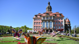 Festiwal Kwiatów i Sztuki 2026 na Zamku Książ w Wałbrzychu. Fot. PAP/Maciej Kulczyński