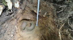 Odkrycie archeologiczne w gdańskich lasach. Fot.  Pomorski Wojewódzki Konserwator Zabytków