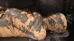 Pierwsza znana egipska mumia ciężarnej kobiety w Galerii Sztuki Starożytnej Muzeum Narodowego w Warszawie. Fot. PAP/Paweł Supernak